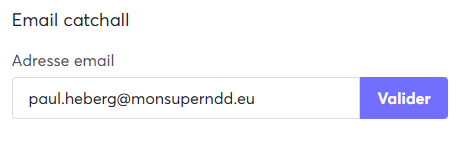 Image du champ Email catchall complété et du bouton Valider