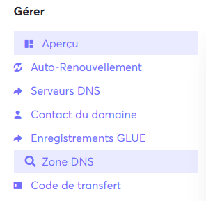 Image de l'onglet Zone DNS